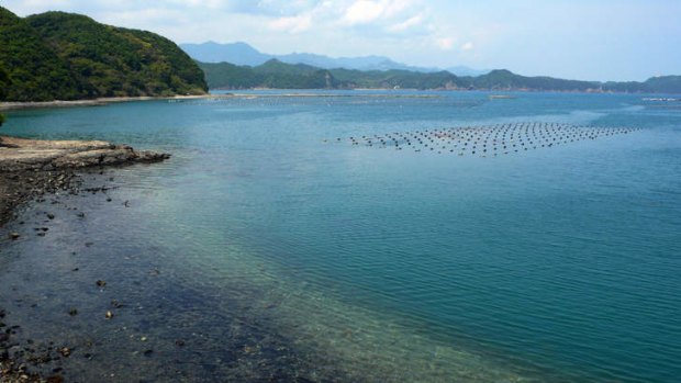 The cove in Taiji where a marine park to play with dolphins is planned.