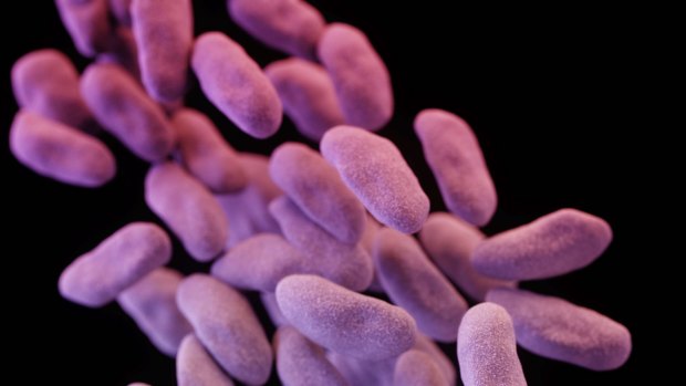 The World Health Organisation has warned that the rise of antibiotic-resistent superbugs could have catastrophic consequences.