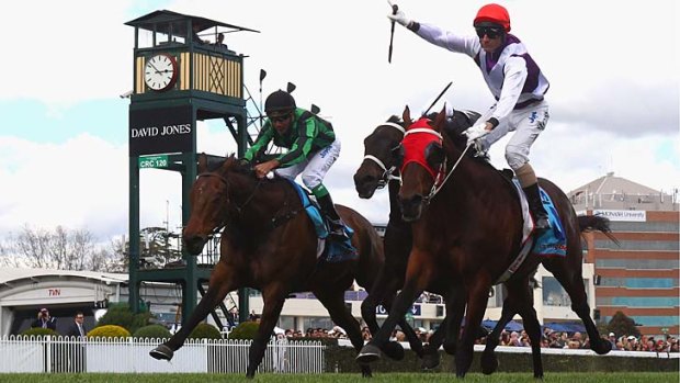 Stand and deliver: Glen Boss is riding high as hot favourite Ocean Park wins the Caulfield Stakes on Saturday.