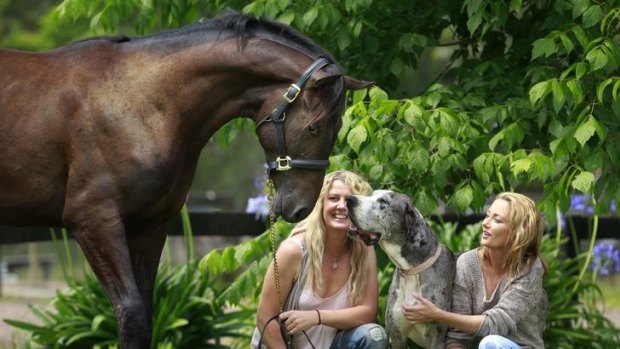 Basic instinct ... sisters Kristen and Ricky Skinner with the animals they paid to save, Dexter the horse and Hunter the great Dane.