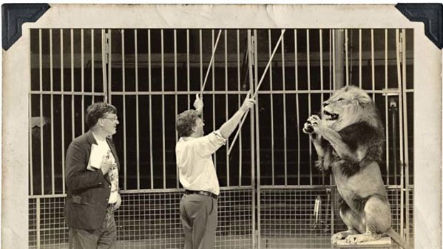 Malcolm Brown with lion tamer Steve Robinson in Gosford in 1995.