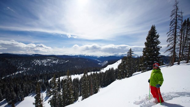 Snow white ... a skier navigates fresh Vail powder.