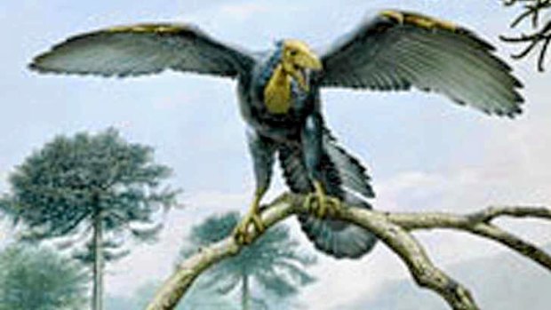 Artists' impression of archaeopteryx.