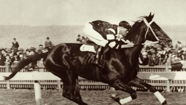 Style of a champion: Could genetic science re-create Phar Lap?