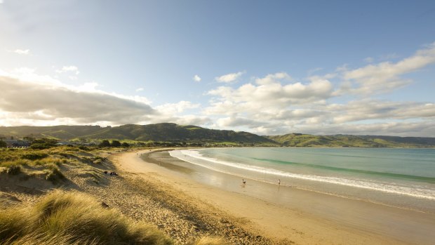 Apollo Bay's beach is one of many in Victoria that is disappearing due to erosion.