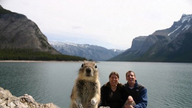Squirrel popping in the snapshot of a vacationing American couple.