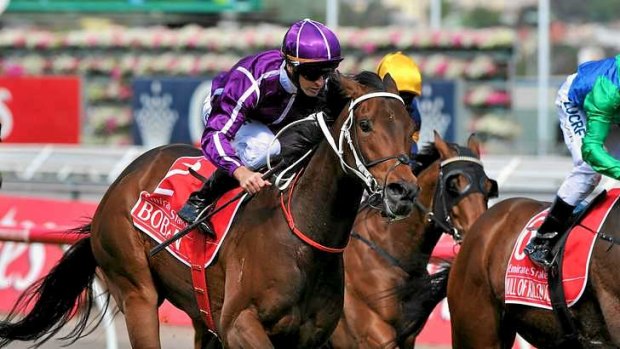 Purple haze: Boban cruises to victory in the Emirates Stakes.