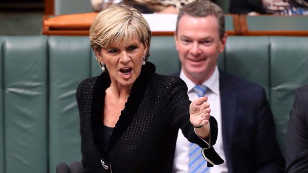 Diplomatic spat: Australian Foreign Minister Julie Bishop.