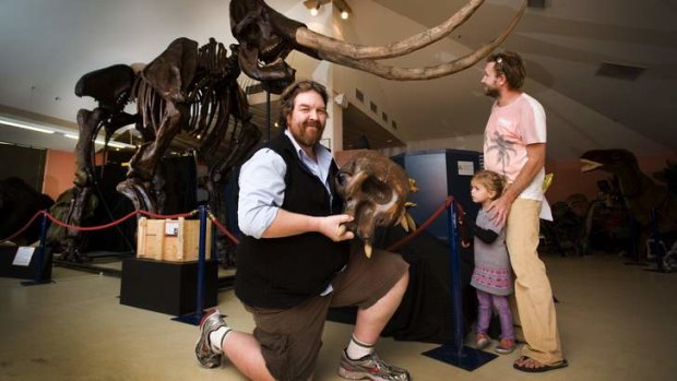 Education manager Phil Hore with a baby mammoth skull in front of the National Dinosaur Museum's newly acquired Stegodon.