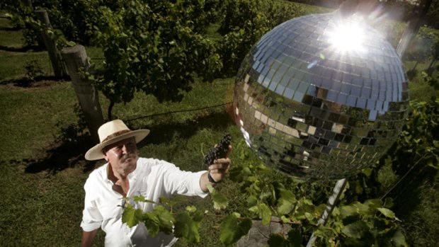 Vineyard glitz … Rod Windrim, whose glitter balls have cut his grape losses from 50 per cent to about 5 per cent.
