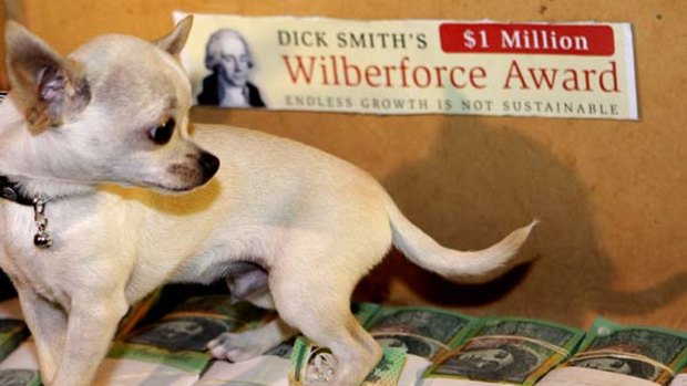 A small dog sits on $1 million in an old suitcase  as Australian entrepreneur Dick Smith announces   his Wilberforce Award.