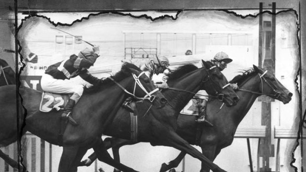 Close &#8230; Arwon hangs on to beat fellow Kiwis Dandaleith and Karu in a thrilling 1978 Melbourne Cup.
