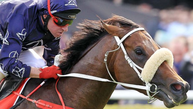 "This bloke is heading for big things and he's still learning": Jimmy Cassidy on Zoustar.