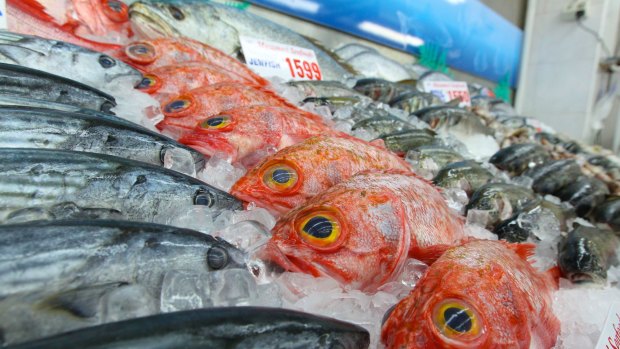 Sydney Fish Market general manager Bryan Skepper said the multimillion-dollar overhaul would create "the world's best fish market", and potentially double visitor numbers to 6 million a year.