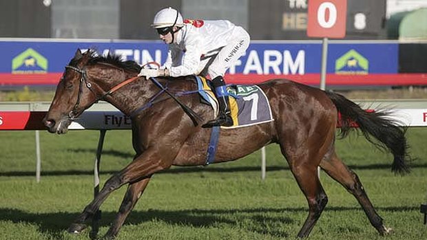 Easy does it ... promising apprentice Blake Spriggs wins on Atomic Force at Randwick on Saturday. The youngster has won races at the past four Saturday Sydney meetings.
