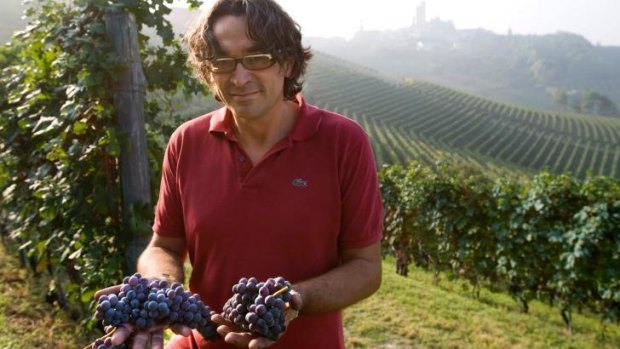 A winemaker in Serralunga d'Alba in northern Italy during a much better harvest season.