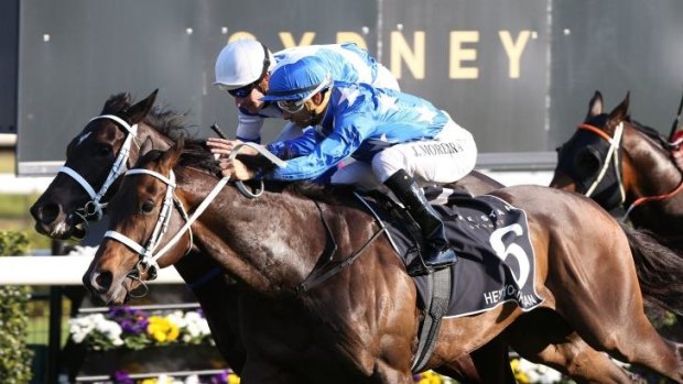 He's the man: Chris Waller had another stellar day out at Randwick on Saturday.
