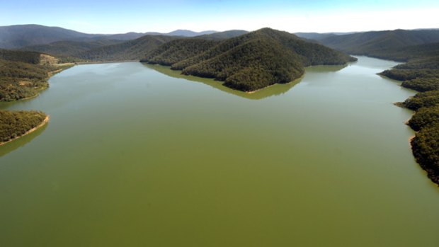 The Upper Yarra Reservoir looks healthy.