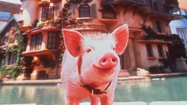 Babe the Pig is shown in a publicity still from the movie, <i>Babe: Pig in the City</i>.