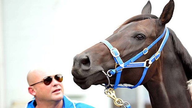 Last look: Trainer Peter Moody with Black Caviar on Wednesday.