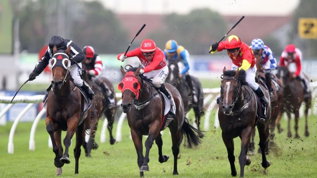 Russian Revolution is well supported as favourite for the Doomben 10,000.