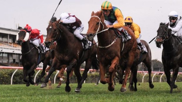 Mudlark: Tiger Tees takes the Aurie's Star Handicap for Damien Oliver earlier this month.