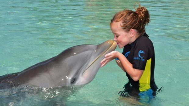Up close: Hannah Haxton, 9, greets a dolphin at Atlantis Resort in the Bahamas.