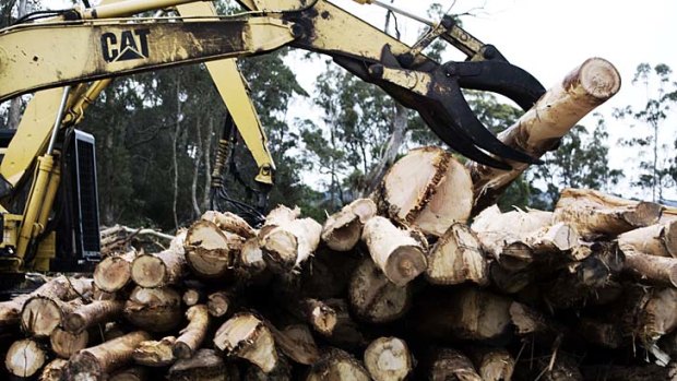 As in the Nordic countries, Australia's native forestry industry employs thousands. Yet they manage to realise the potential for renewable energy where we do not.
