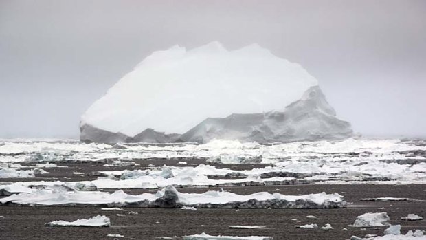 Giant meringue: An iceberg floats near the Mertz Glacier in the Antarctic.