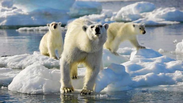 Record-low Arctic ice cover just one of the signs of climate change.,