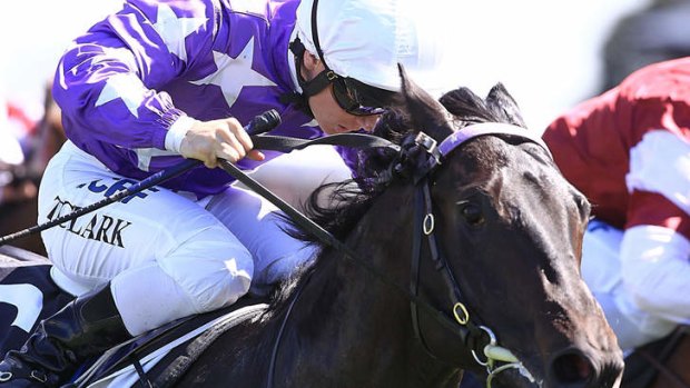 Hat-trick hopeful: Gai Waterhouse is confident Law can give her three successive Silver Slipper wins.