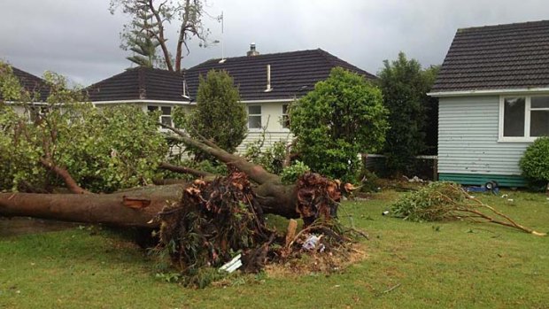 The aftermath of a tornado which ripped through west Auckland.