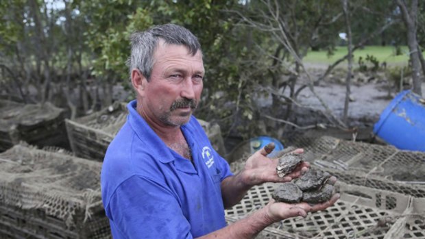 Devastation has confronted Oyster Farmer John Lindsay, already hit by water borne contamination he is now affected by flooding rains that inundated the Kalang River smashing pontoons and flinging once healthy oyster trays like confetti up against the riverbank.