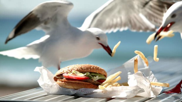 As every seagull knows, results season generates a lot of hot chips.