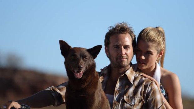 Puppy love ...  Koko steals the show from Josh Lucas and Rachael Taylor.