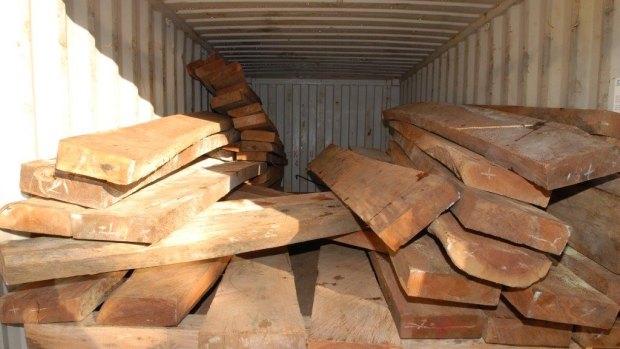 More than $45m worth of meth has been found hidden in logs imported from Africa. 
