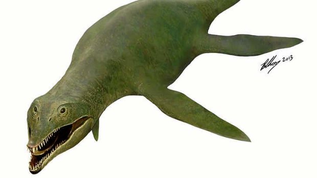 The freshwater pliosaurid grew to about 5 metres in length.