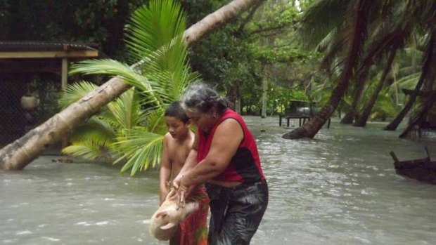 Residents of Tuvalu move a pig during a storm surge created by Cyclone Pam.