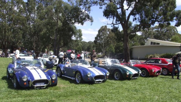 The Victorian AC Cobra car club makes a show of American muscle.