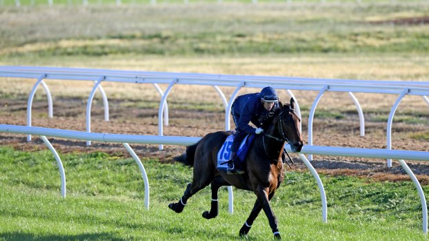 Jockey Hugh Bowman rides Marmelo in during trackwork at Werribee.