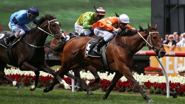 Pure gold: Blake Shinn rides Who Shot Thebarman to victory in the Moonee Valley Gold Cup.