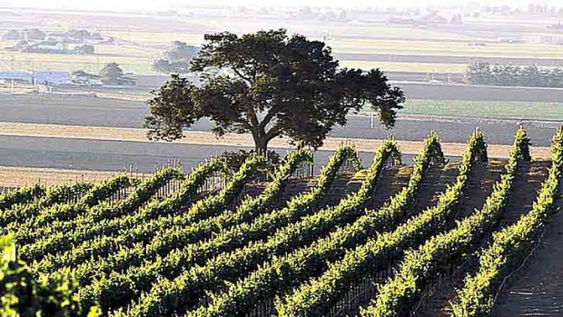 The high Australian dollar is taking its toll on Australian winemakers and exporters.