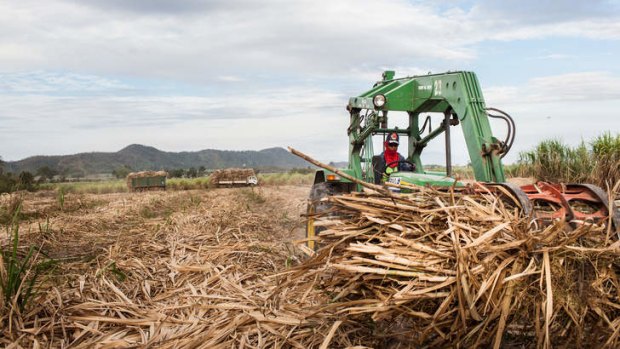 Families were evicted to make way for a sugar crop in Kampong Speu.