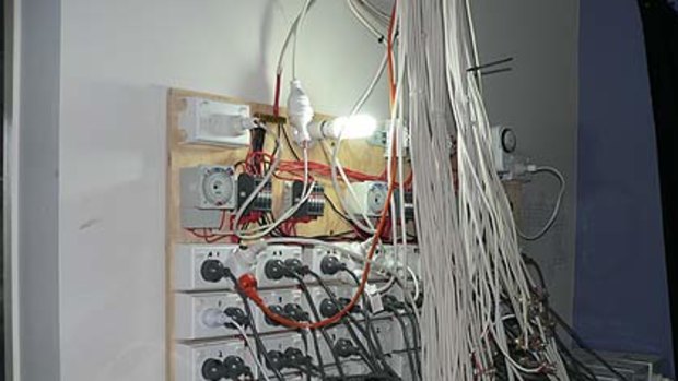 Complex, illegal and dangerous ... the wiring for a cannabis farm.
