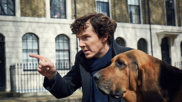On the trail: Holmes (Benedict Cumberbatch) and friend in The Six Thatchers.