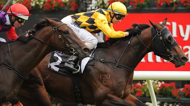 Moving north: Gracious Prospect, with apprentice Katelyn Mallyon up, holds off Star Beauty at Flemington.