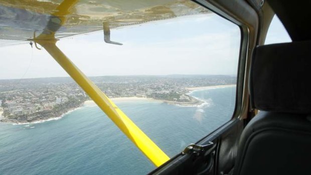 The Australian Aerial Patrol flies along the NSW coast looking out for sharks.