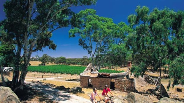 Taste for bikes . . . the Riesling Trail is a 35-kilometre track through the beautiful Clare Valley.