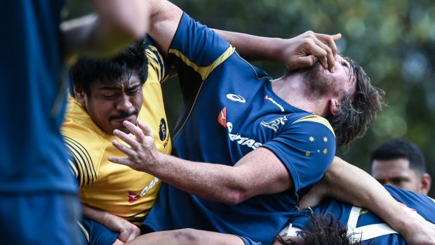 Chin music: Will Skelton and Kane Douglas during the testy encounter at training.