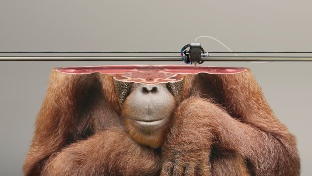 If only they were this easy to reproduce. A 3D printer makes a new orang-utan.